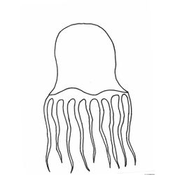 Medusa #6644