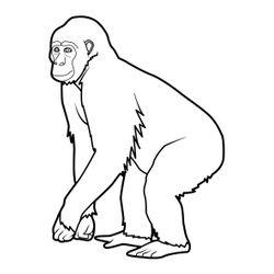 Mono #6682