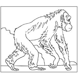 Mono #6730