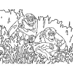 Mono #6751