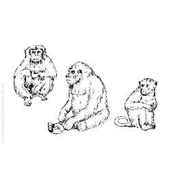 Mono #6771