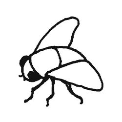 Mosca #6838