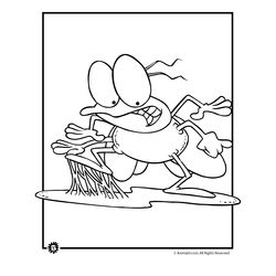 Mosca #6852