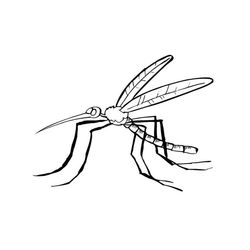 Mosquito #6856