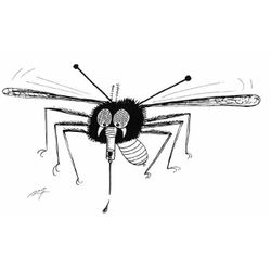 Mosquito #6863