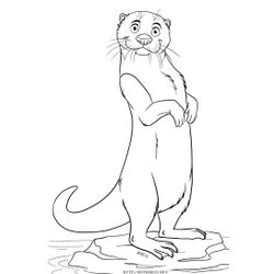 Nutria #6962