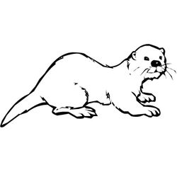 Nutria #6963