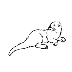 Nutria #6966