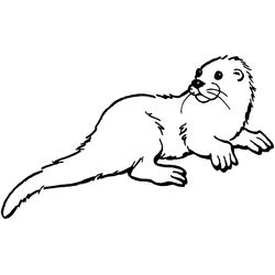 Nutria #6967