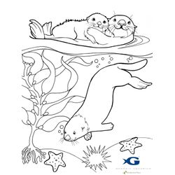 Nutria #6969