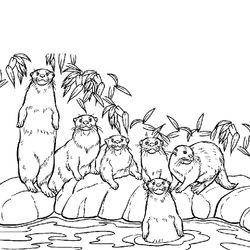 Nutria #6974