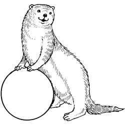 Nutria #6975