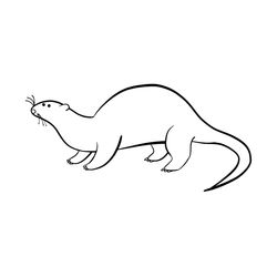Nutria #6976