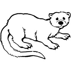 Nutria #6977