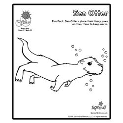 Nutria #6986