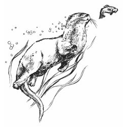 Nutria #6996