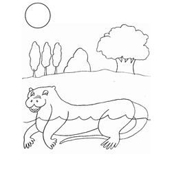Nutria #6998