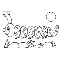 Oruga #7013