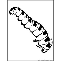 Oruga #7015