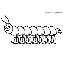 Oruga #7032