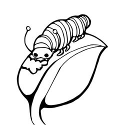 Oruga #7043
