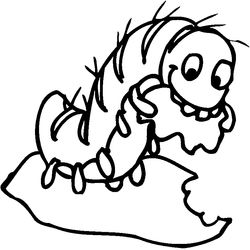 Oruga #7054