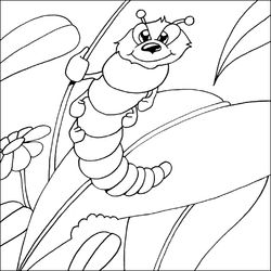 Oruga #7069