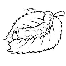Oruga #7071