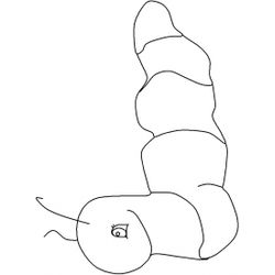 Oruga #7074