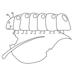Oruga #7079