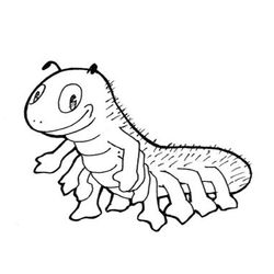 Oruga #7084