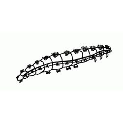 Oruga #7088