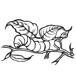 Oruga #7090