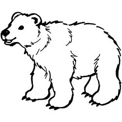 Oso #7106