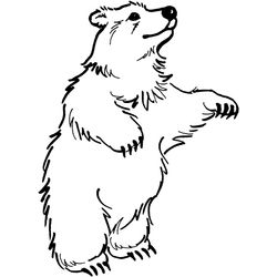 Oso #7107