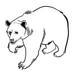 Oso #7110