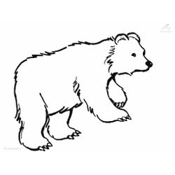 Oso #7112