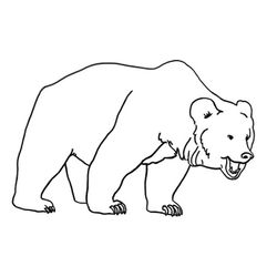 Oso #7121
