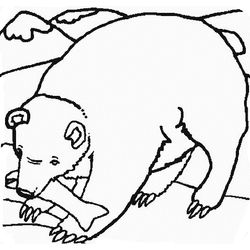 Oso #7131