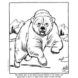 Oso #7133