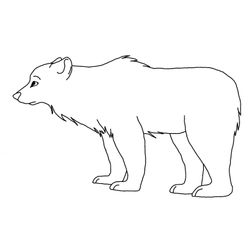 Oso #7136