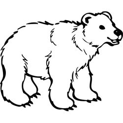Oso #7155