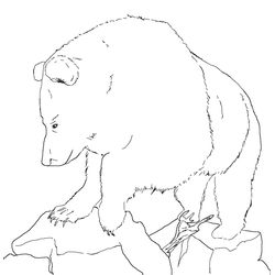 Oso #7177