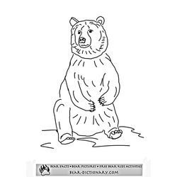 Oso #7198