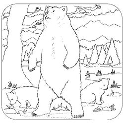 Oso #7208