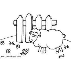 Oveja #7294