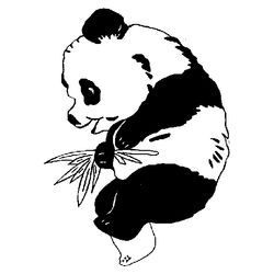 Panda #7489