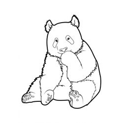 Panda #7495