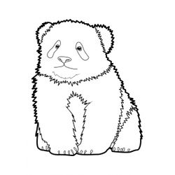 Panda #7504