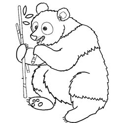 Panda #7507